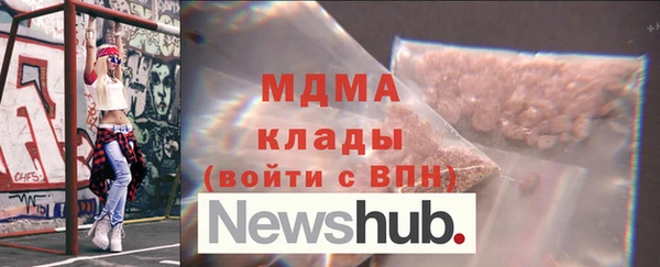 индика Елизово