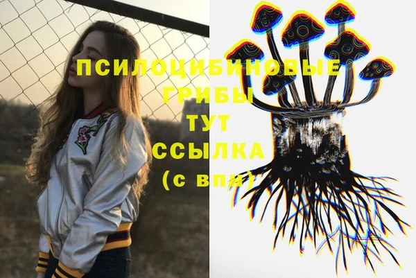 индика Елизово