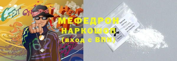 индика Елизово