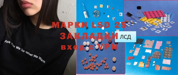 сатива Елабуга