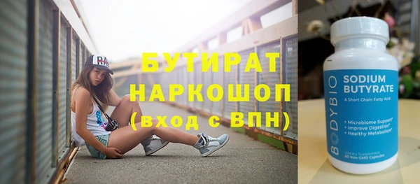 гашик Ельня