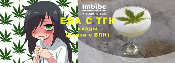 индика Елизово
