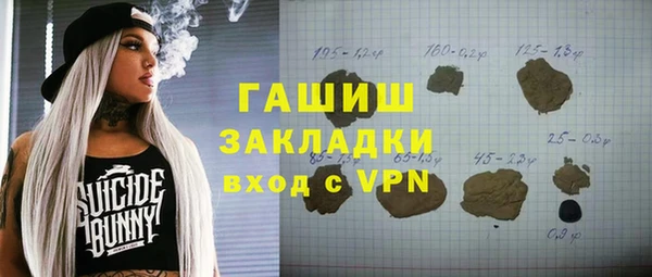 индика Елизово