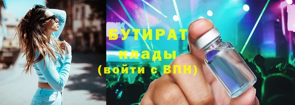 гашик Ельня