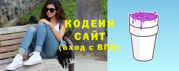 сатива Елабуга