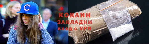 гашик Ельня