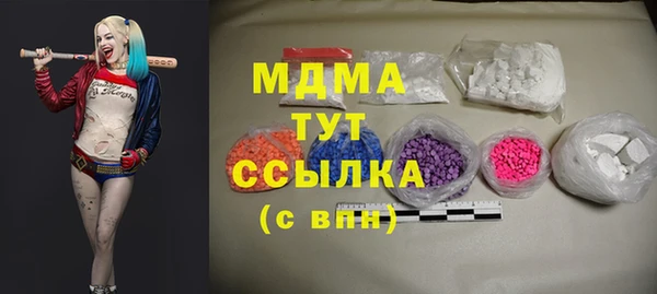 гашик Ельня