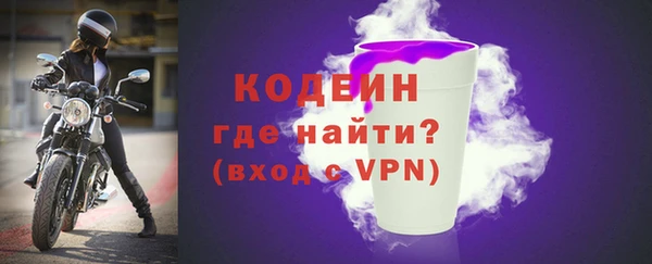 индика Елизово