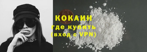 гашик Ельня