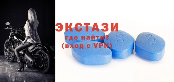 индика Елизово