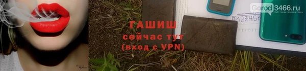 индика Елизово