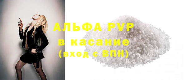 гашик Ельня