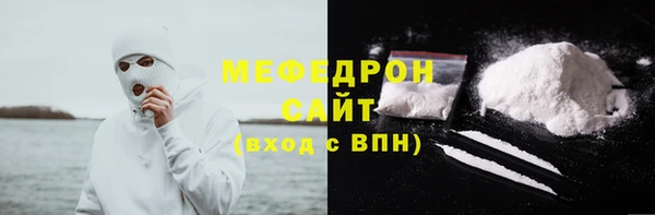 индика Елизово