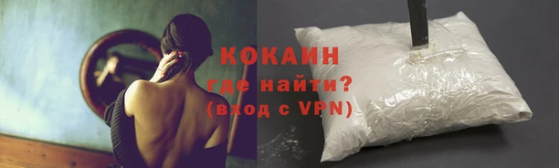 индика Елизово