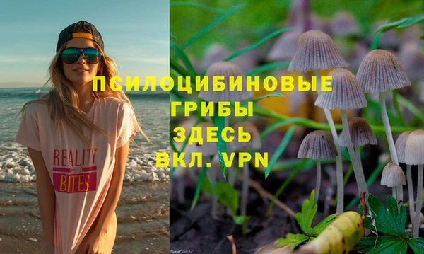 гашик Ельня