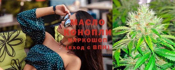 индика Елизово