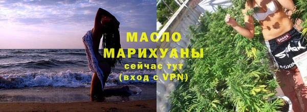 гашик Ельня