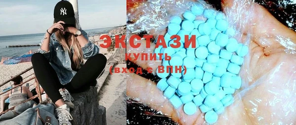 индика Елизово