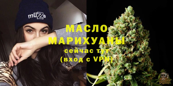гашик Ельня