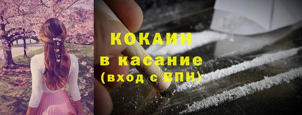 индика Елизово