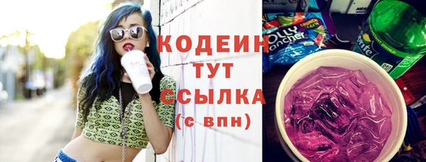 гашик Ельня