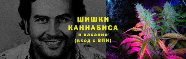 индика Елизово