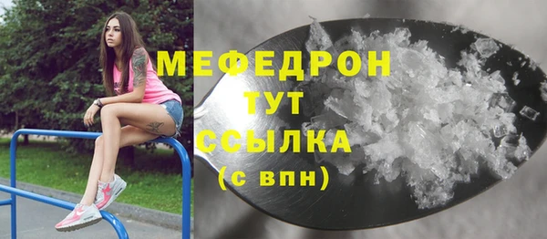 индика Елизово